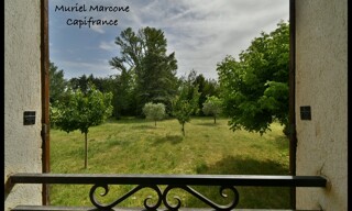 Photo N° 8
