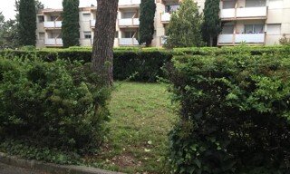 Photo N° 4