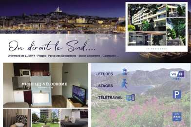 Appartement 1 pièces 530 €