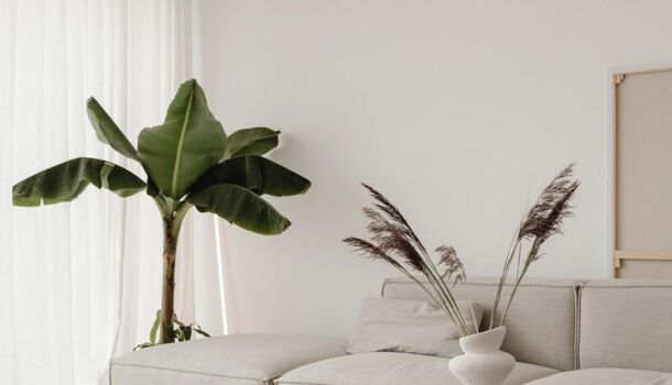 Appartement 5 pièces  à vendre Montpellier 34070