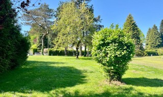 Photo N° 5