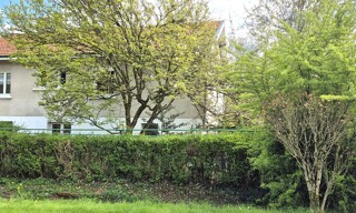 Photo N° 6