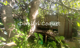 Photo N° 5