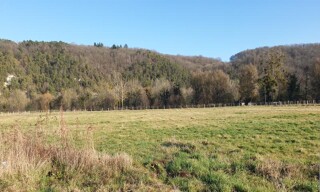 Photo N° 3