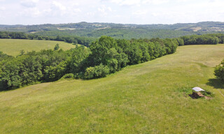 Photo N° 5