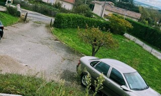 Photo N° 8