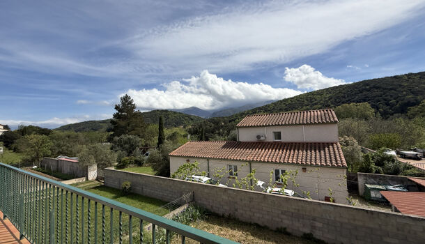 Immeuble  à vendre Reynès 66400