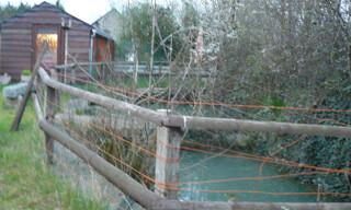 Photo N° 3