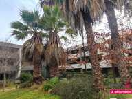 Appartement — photo 2