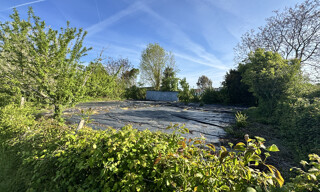 Photo N° 4