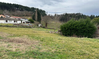 Photo N° 4