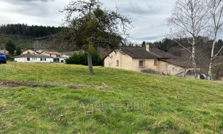 Photo N° 5