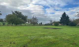 Photo N° 4