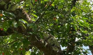 Maison 5 Pièces 96 m² à vendre à Argagnon (64300)