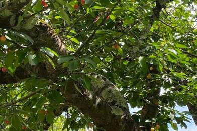 Maison 5 pièces 168000 €