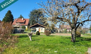 Photo N° 4