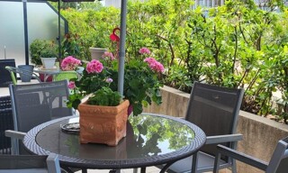 Appartement 2 Pièces 53 m² à vendre à Fréjus (83600)