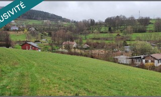 Photo N° 6