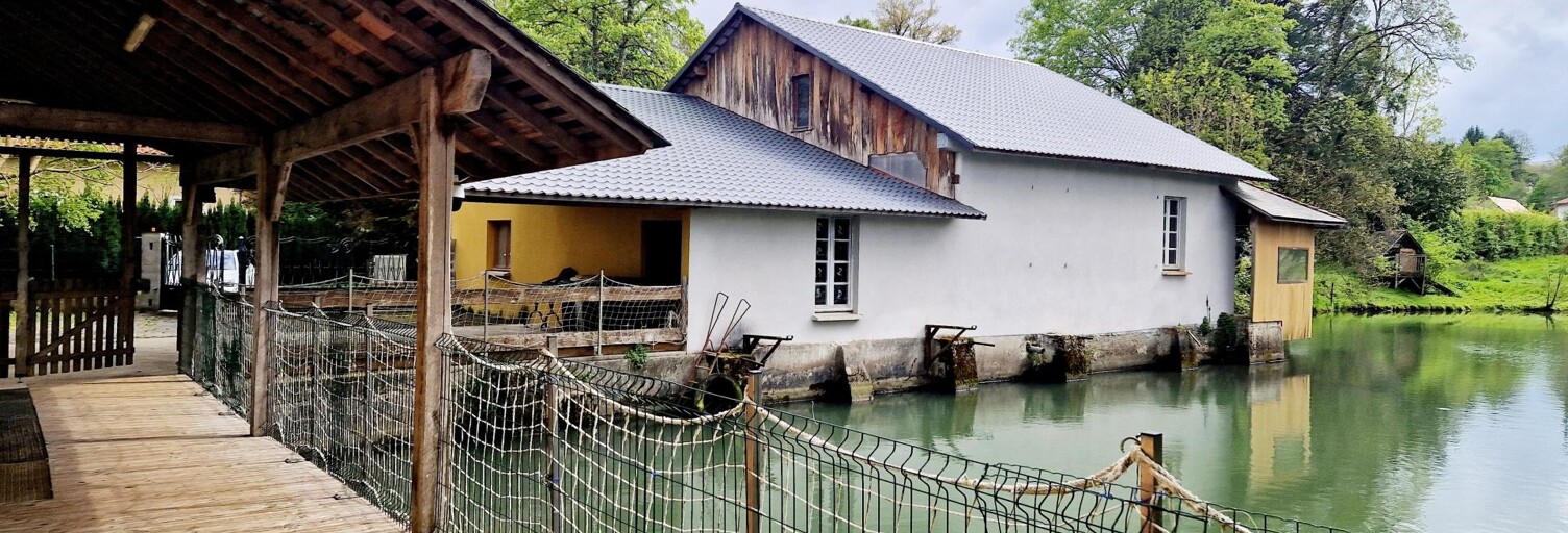 Maison 5 Pièces 150 m² à vendre à Lannemezan (65300)