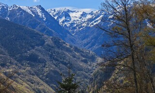 Photo N° 3