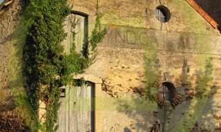 Photo N° 4