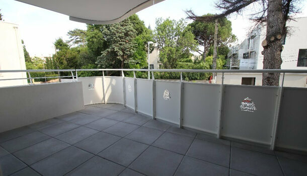 Appartement 2 pièces  à louer Montpellier 34000