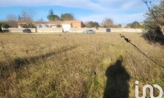 Photo N° 4