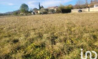 Photo N° 5