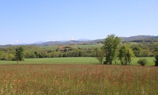 Photo N° 5