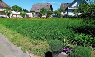 Photo N° 3