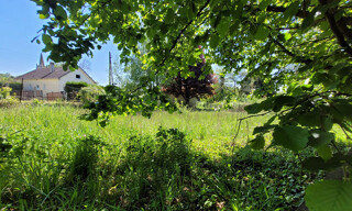 Photo N° 4