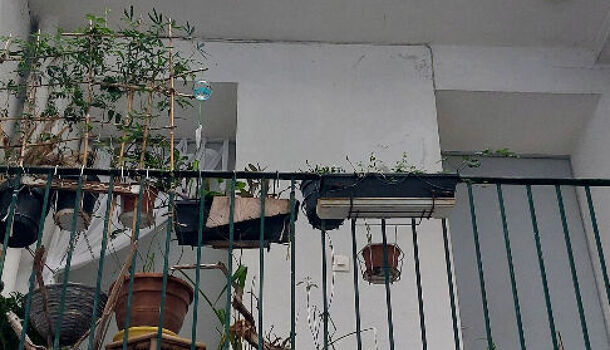 Immeuble  à vendre Rochelle (La) 17000