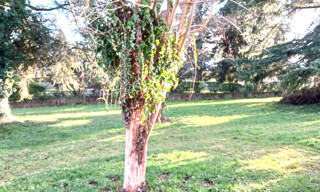 Photo N° 3