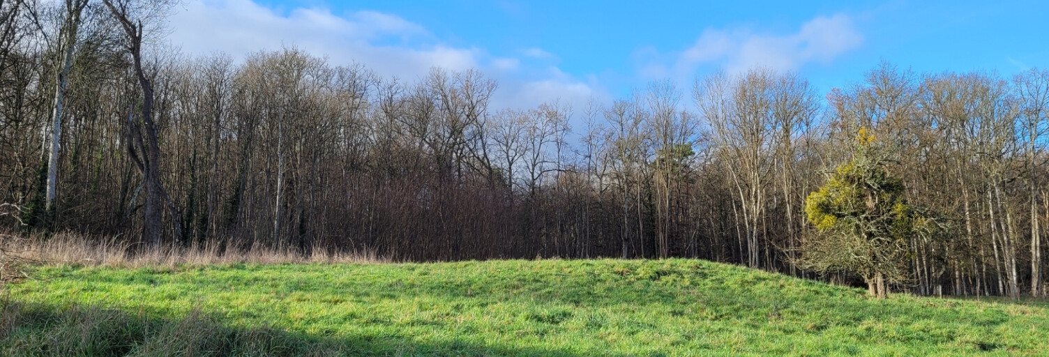 Terrain  2247 m² à vendre à Appoigny (89380)