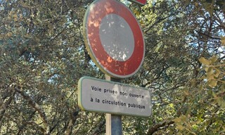 Photo N° 7