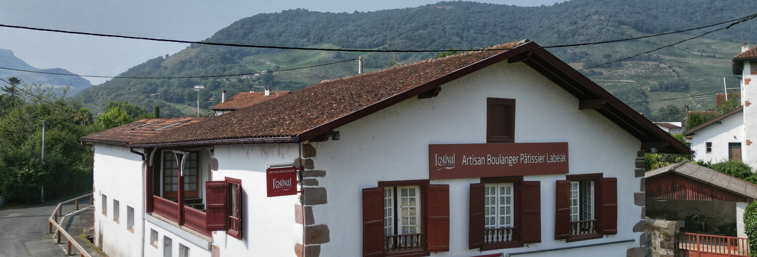 Maison 10 Pièces 323 m² à vendre à Saint-Jean-Pied-de-Port (64220)