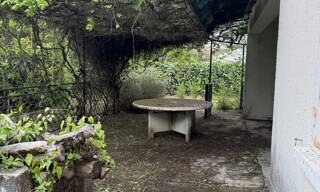 Photo N° 5