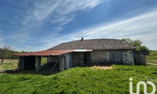 Photo N° 5