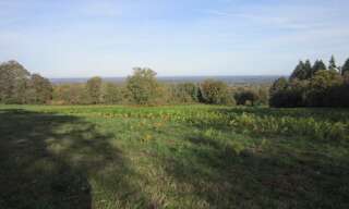 Terrain  24890 m² à vendre à Montrol-Sénard (87330)