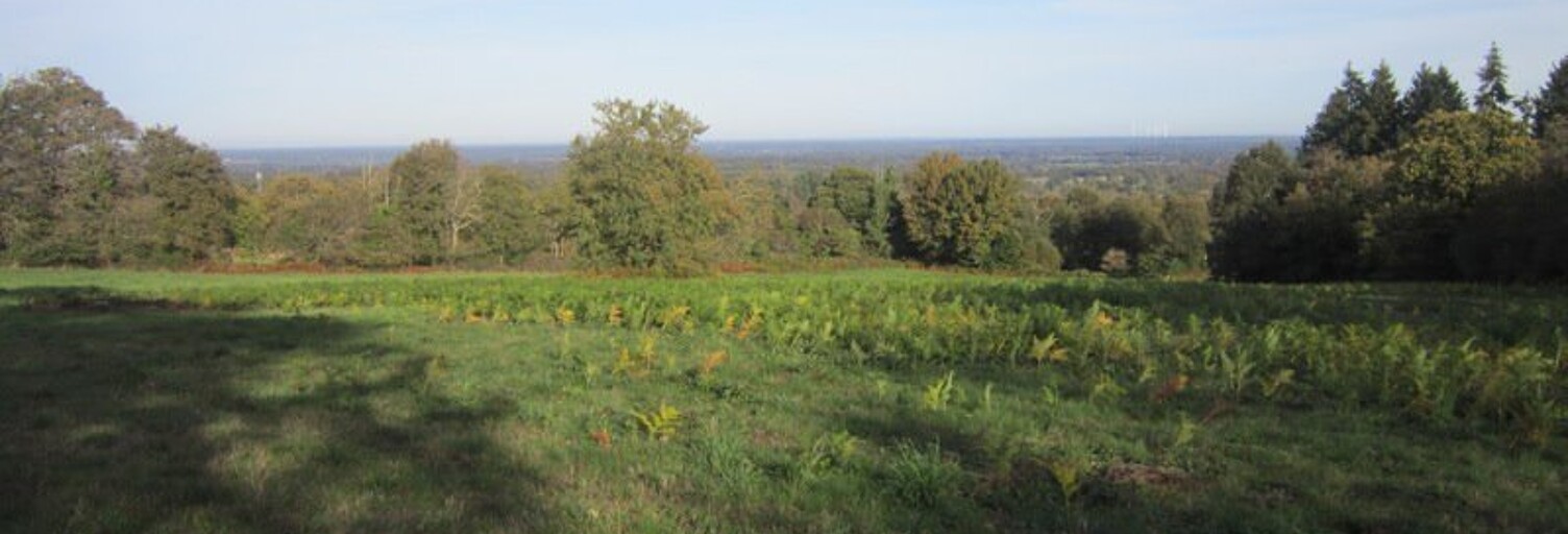 Terrain  24890 m² à vendre à Montrol-Sénard (87330)