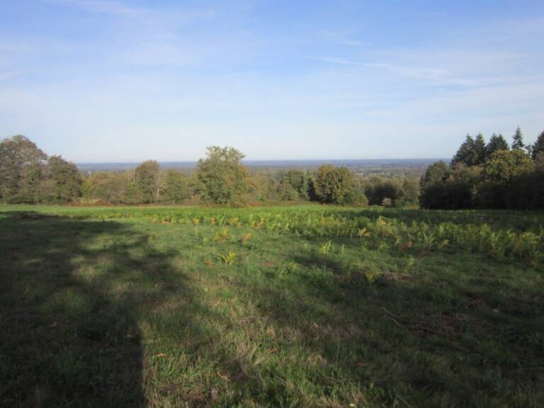 Terrain à bâtir de 0 pièces principales — photo 1