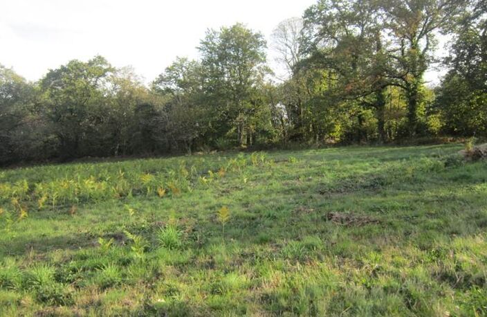 Terrain à bâtir de 0 pièces principales — photo 3
