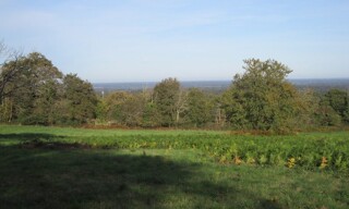 Photo N° 4