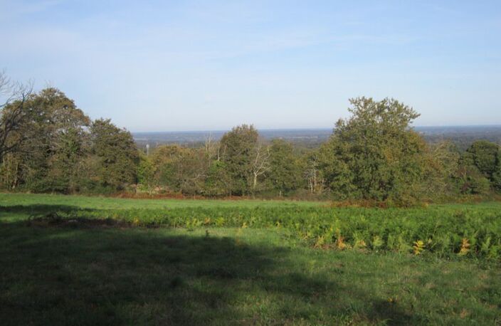 Terrain à bâtir de 0 pièces principales — photo 4