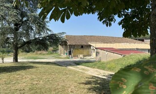 Photo N° 4