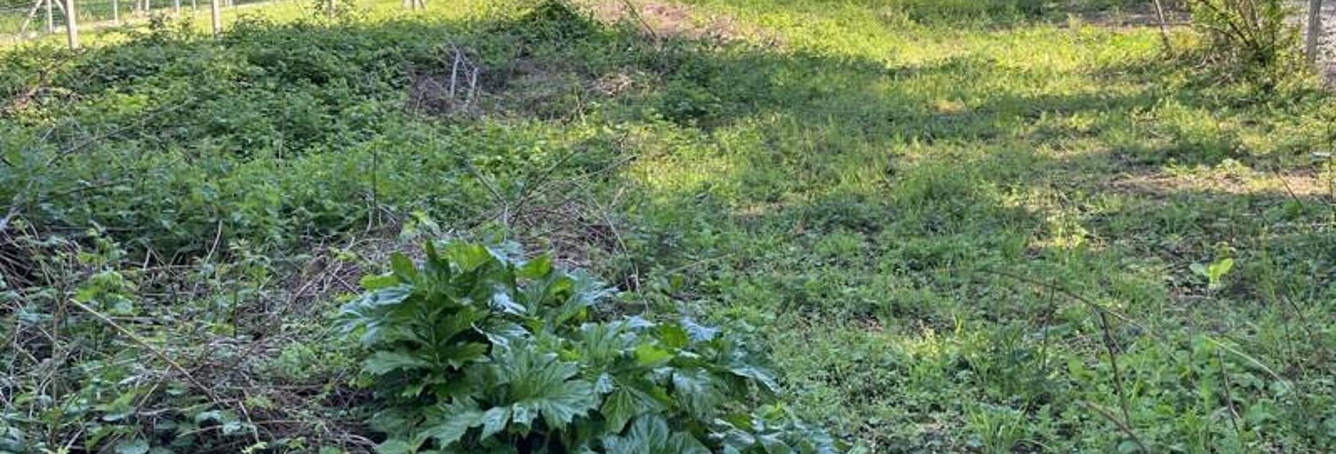 Terrain  457 m² à vendre à Lacrouzette (81210)