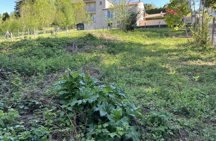 Vente terrain  457 m² Lacrouzette (81210) — photo 2
