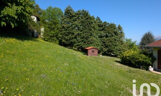 Photo N° 4
