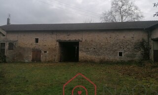 Photo N° 3