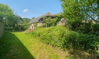 Photo N° 4
